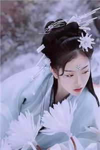 当时明月在，再无彩云归完结文