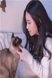 纪优李小瓷一生只爱一个人小说