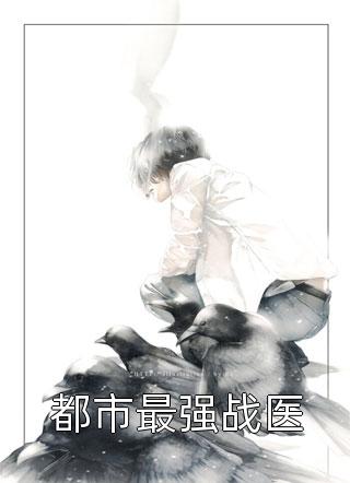 破局小说全文免费阅读许国华陆泽